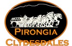 Pirongia Clydesdales